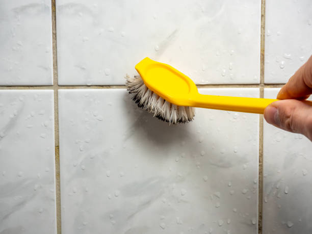 Best Mold Testing  in Lenwood, CA